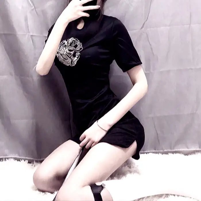 南极穿越 海报